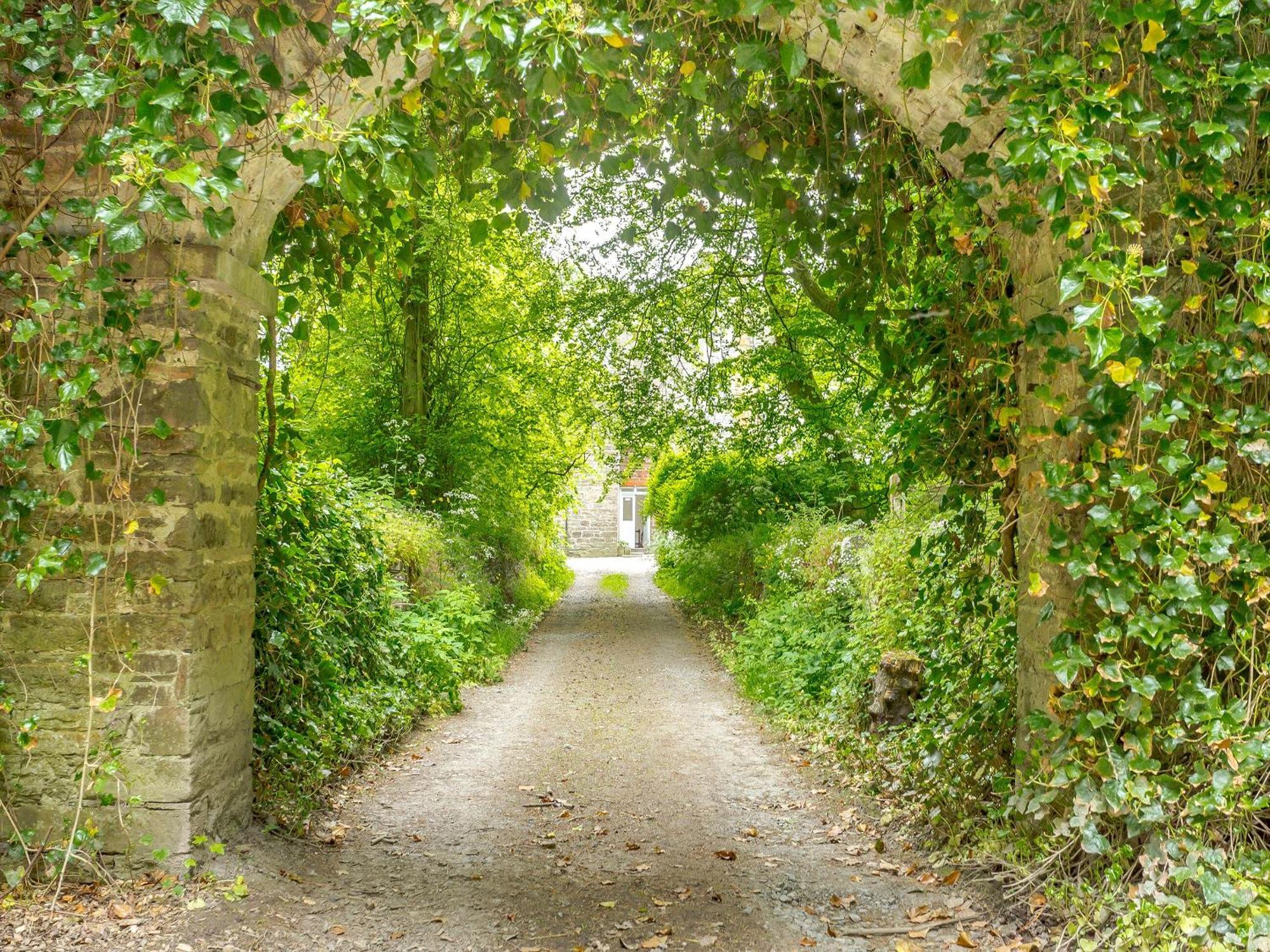 The Cottage Slickly المظهر الخارجي الصورة